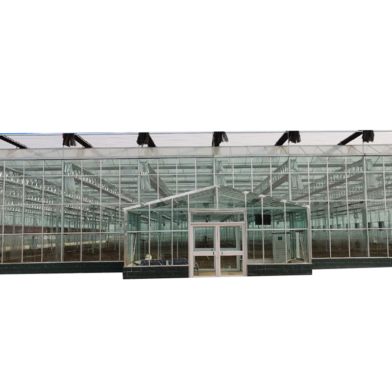 Modern Intelligent Vegetable Planting Glass Greenhouse