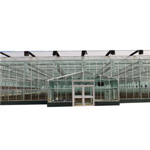 Modern Intelligent Vegetable Planting Glass Greenhouse