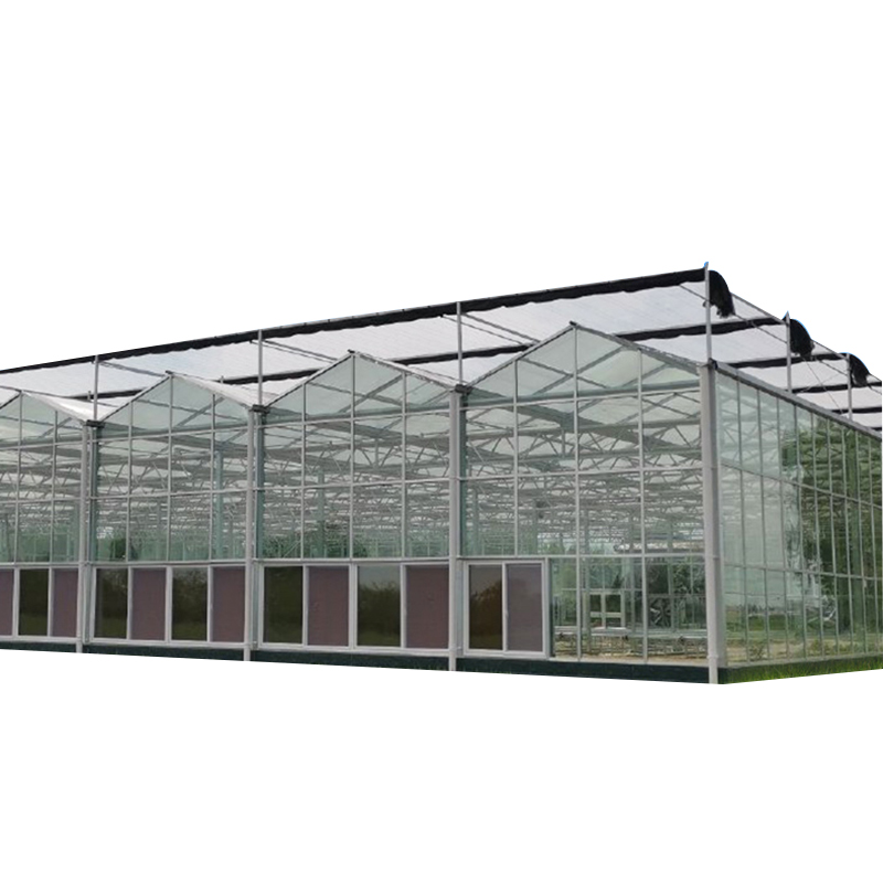 Modern Intelligent Vegetable Planting Glass Greenhouse