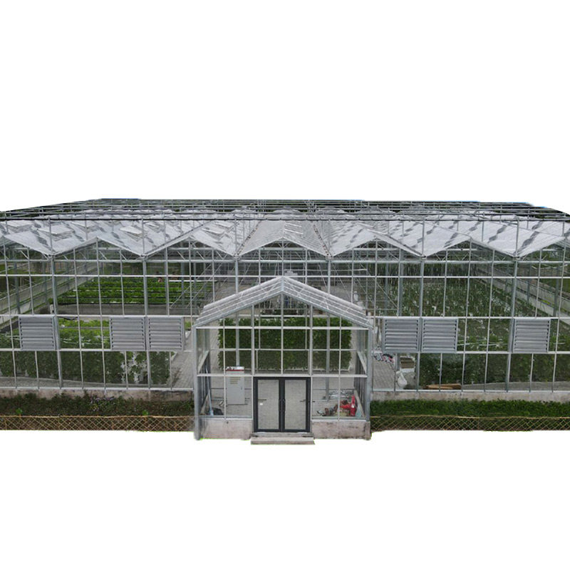 Modern Intelligent LinkedEcological Glass Greenhouse