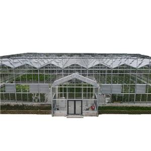 Modern Intelligent LinkedEcological Glass Greenhouse