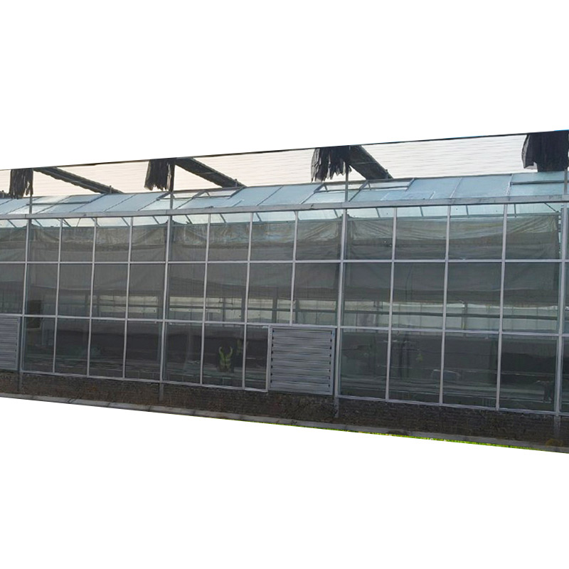 Modern Intelligent LinkedEcological Glass Greenhouse