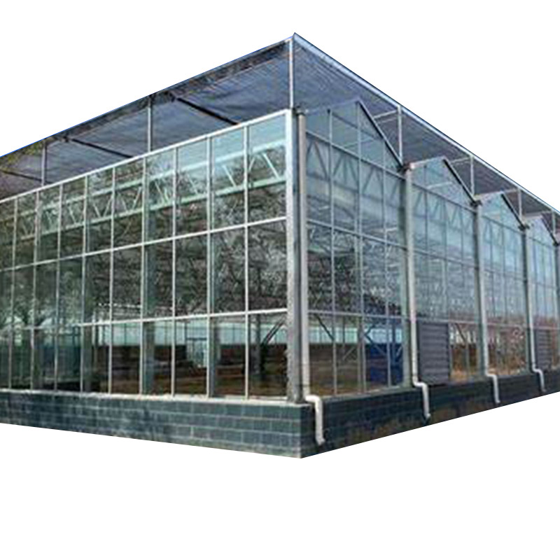 High Lihgt Transmission Venlo-type Glass Greenhouse