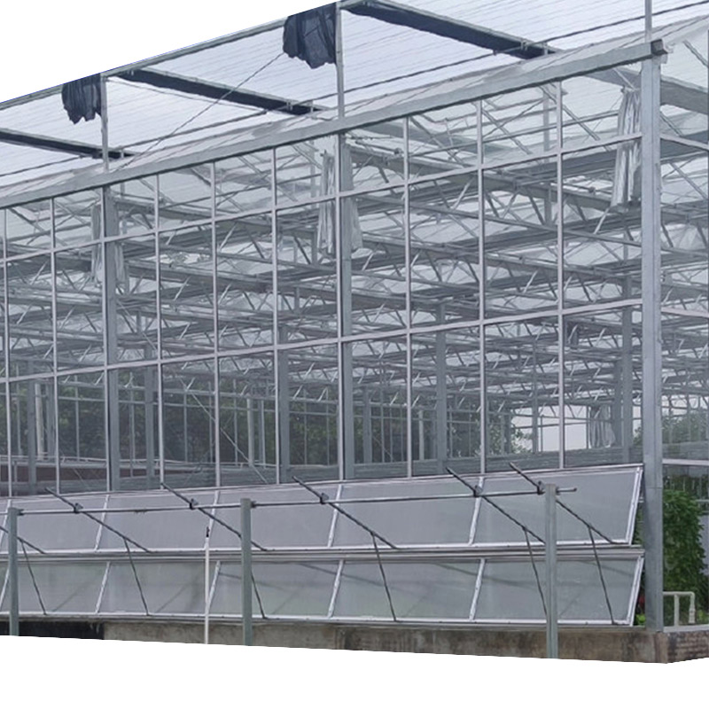 Heat-preservation Venlo-type Glass Greenhouse