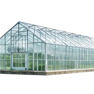 Fully Automatic Venlo-type Glass Greenhouse