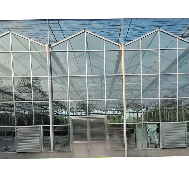 Fully Automatic Venlo-type Glass Greenhouse