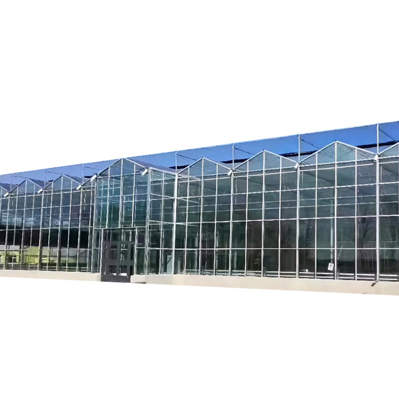 Photovaltaic Perspex Venlo-type Glass Greenhouse