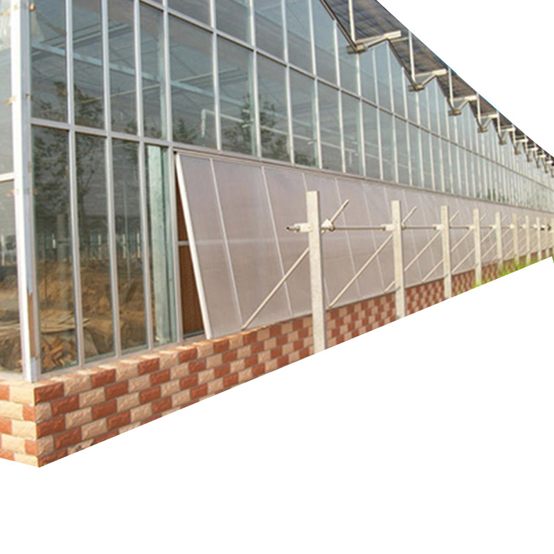 Large Hydroponic Seeding Rasing Venlo-type Glass Greenhouse