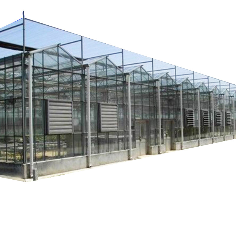 Large Hydroponic Seeding Rasing Venlo-type Glass Greenhouse