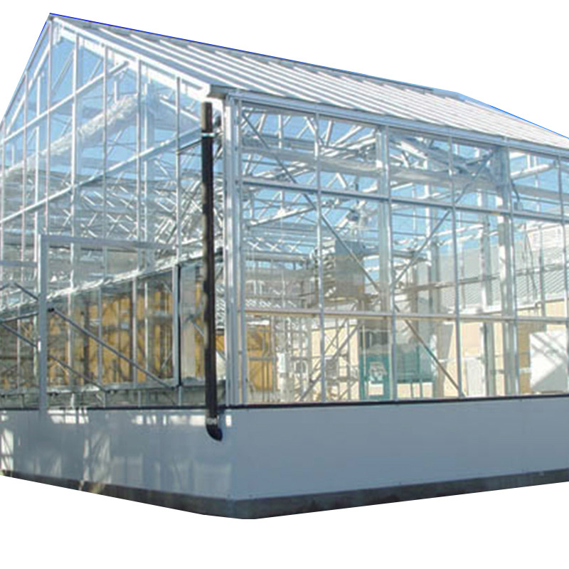 Large Hydroponic Seeding Rasing Venlo-type Glass Greenhouse