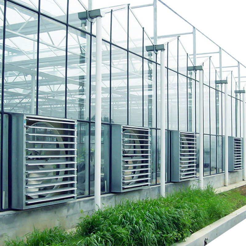 Single Double Layer Mini Toughened Glass Greenhouse