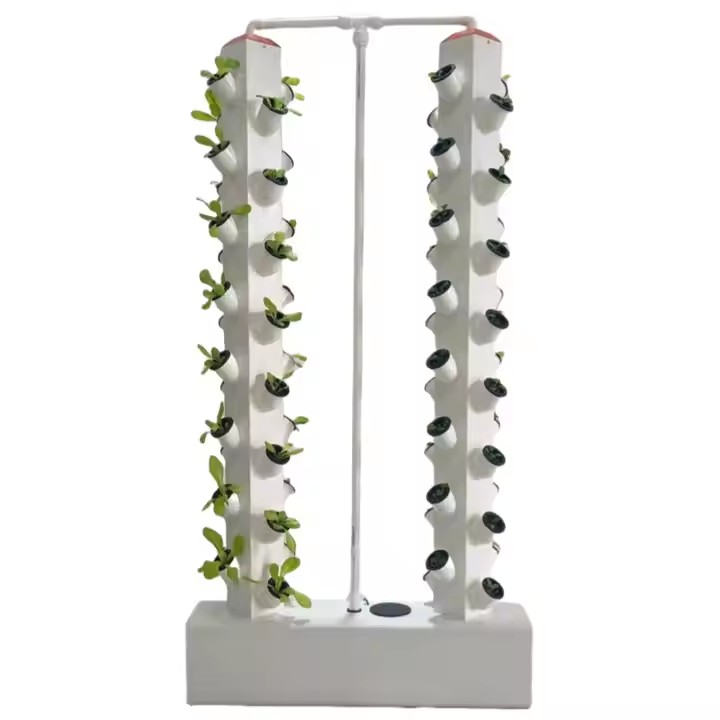 Hydroponic Cultivation Greenhouse