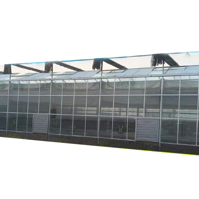 Modern Intelligent Linked Polycarbonate Greenhouse