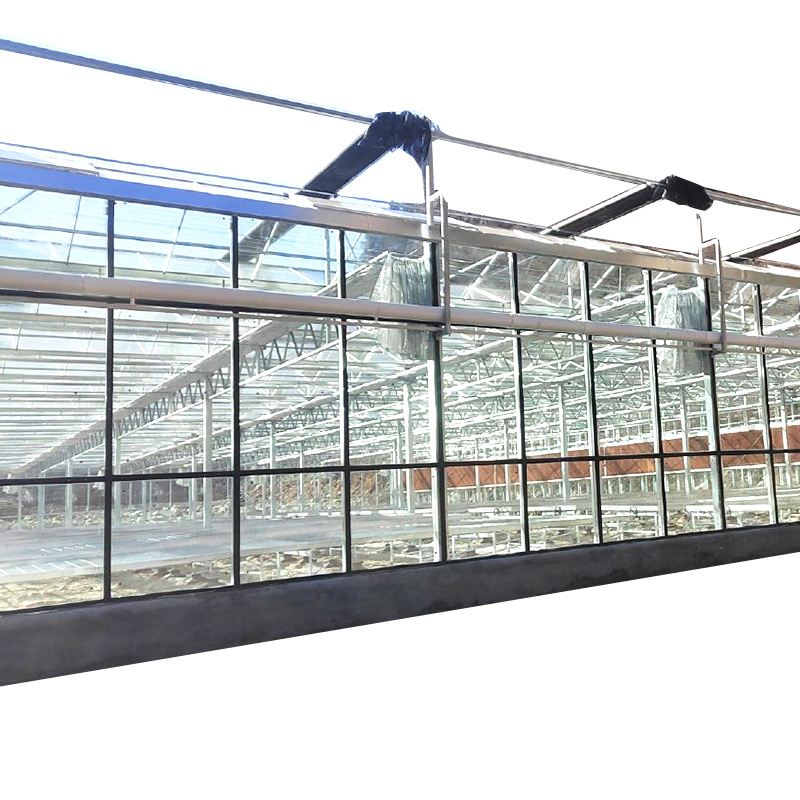 High Light Transmission Photovaltaic Hydroponic Polycarbonate Greenhouse