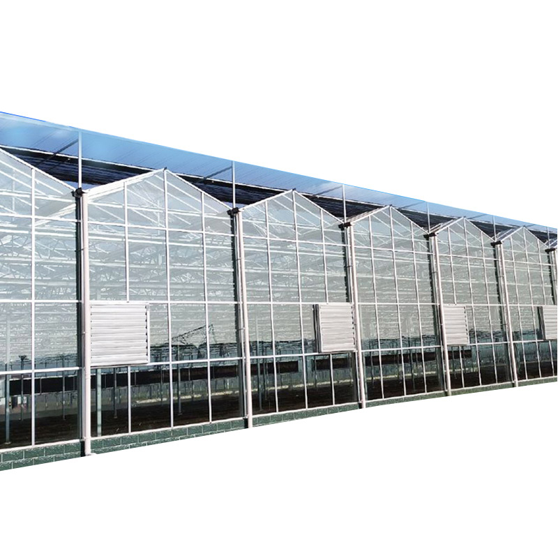 High Light Transmission Photovaltaic Hydroponic Polycarbonate Greenhouse
