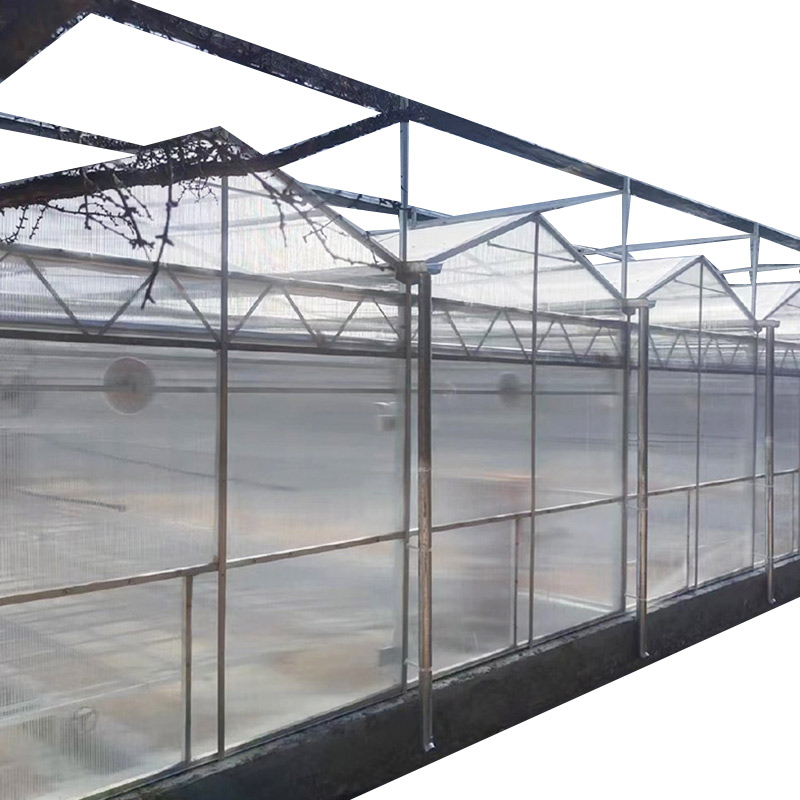High Light Transmission Photovaltaic Hydroponic Polycarbonate Greenhouse