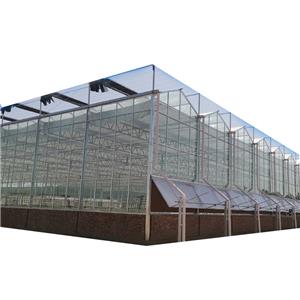 Hight Light Transmission Linked Steel Multi-layer Polycarbonate Greenhouse