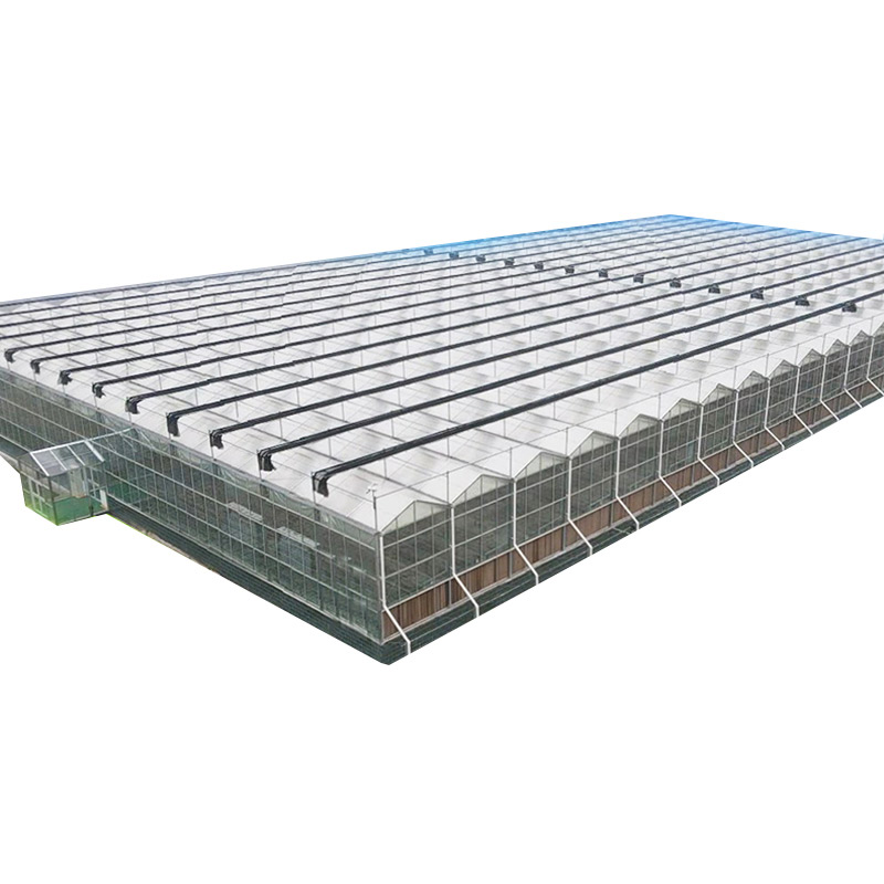 Hight Light Transmission Linked Steel Multi-layer Polycarbonate Greenhouse
