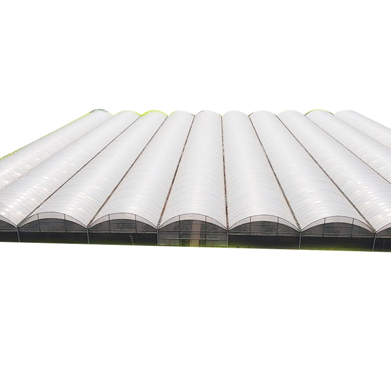 Hight Light Transmission Linked Steel Multi-layer Polycarbonate Greenhouse