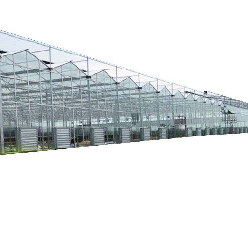 Strong Multiwall Aluminum Polycarbonate Greenhouse