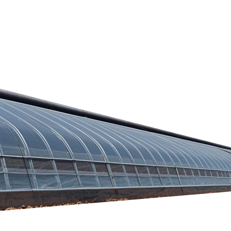 Durable Sunlight-abundant Solar Heat-preservation Type Solar Greenhouse