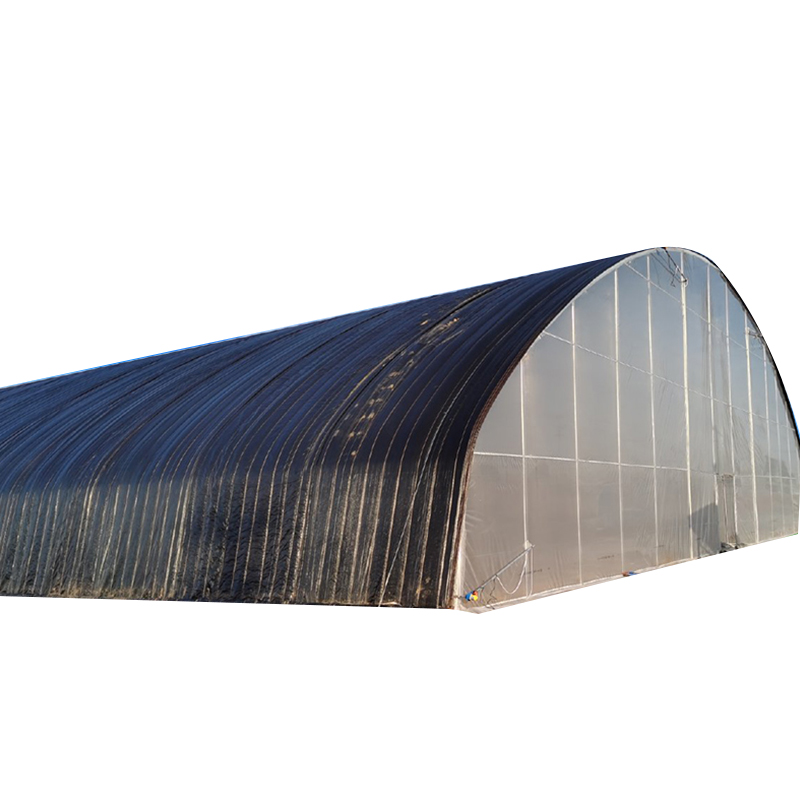 Energy-saving Low-profile Warm In Winter Solar Greenhouse