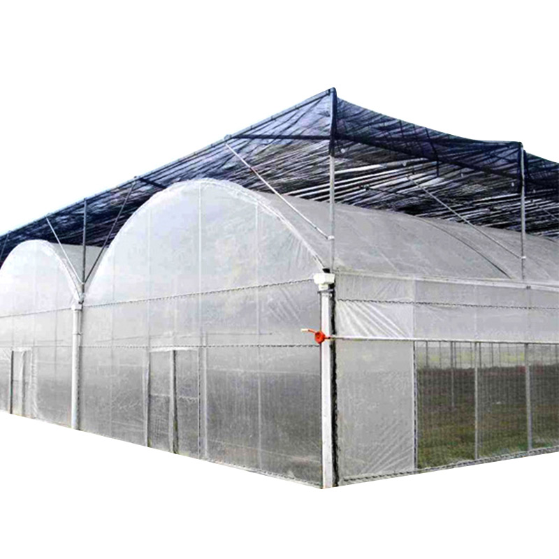 Dome-shaped Linked Plastic Film Greenhouse