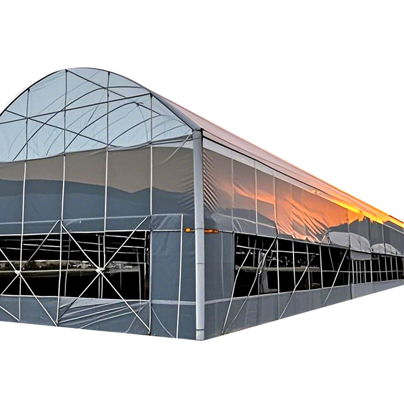 Multi-span Swatooth-shaped PE Film Greenhouse
