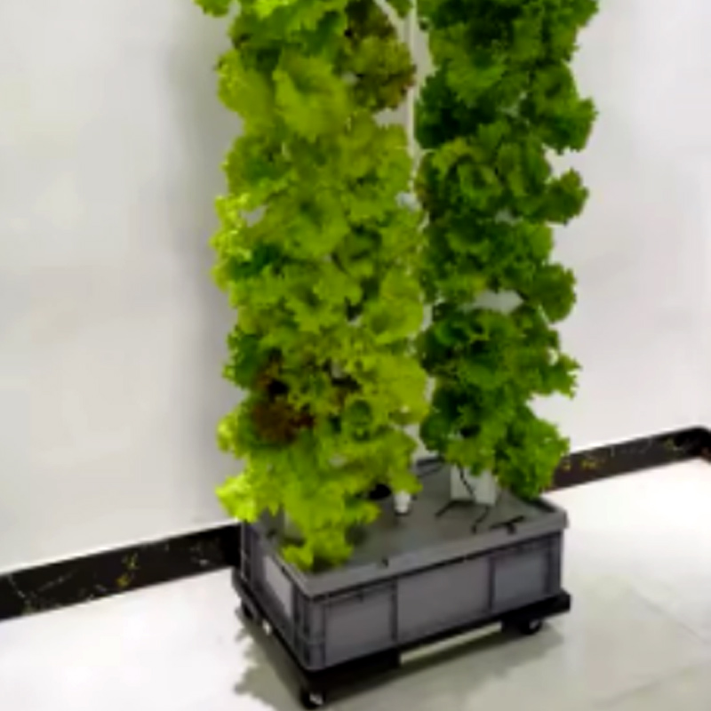 Vertical Hydroponic Planting Tower