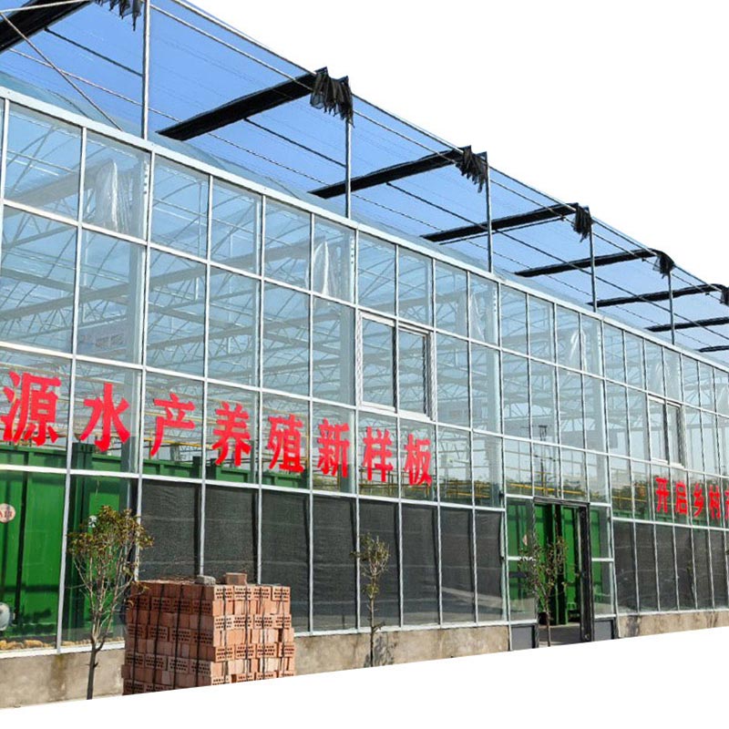 Single And Multi-span Polythylene Swatooth-shaped Film Greenhouse