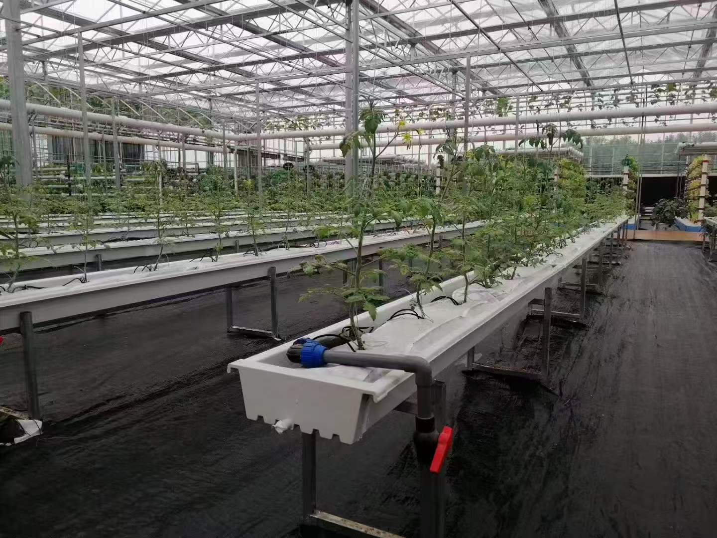 dự án canh tác không dùng đất quy mô lớn