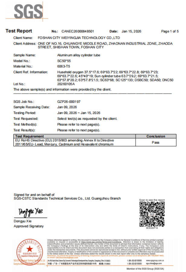 SGSexamining report SGSexamining report