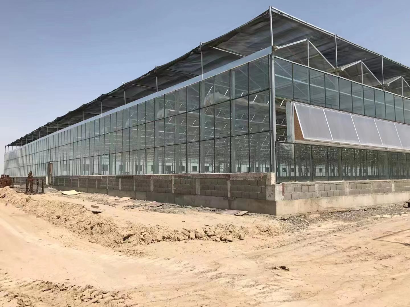 Glass greenhouse in Turkmenistan
