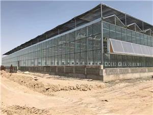 Glass greenhouse in Turkmenistan