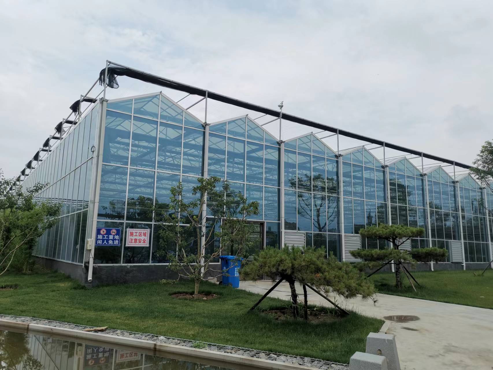 Multi span Glass greenhouse