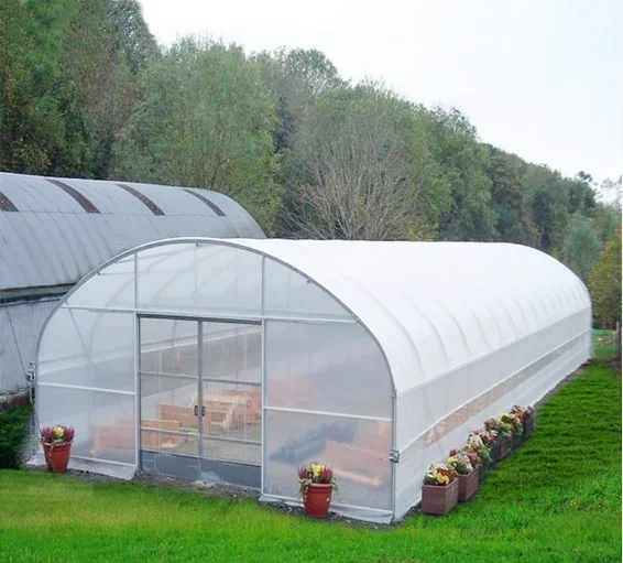 Glass greenhouse