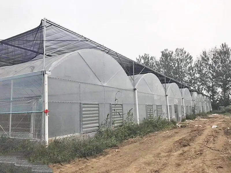 Tunnel greenhouse