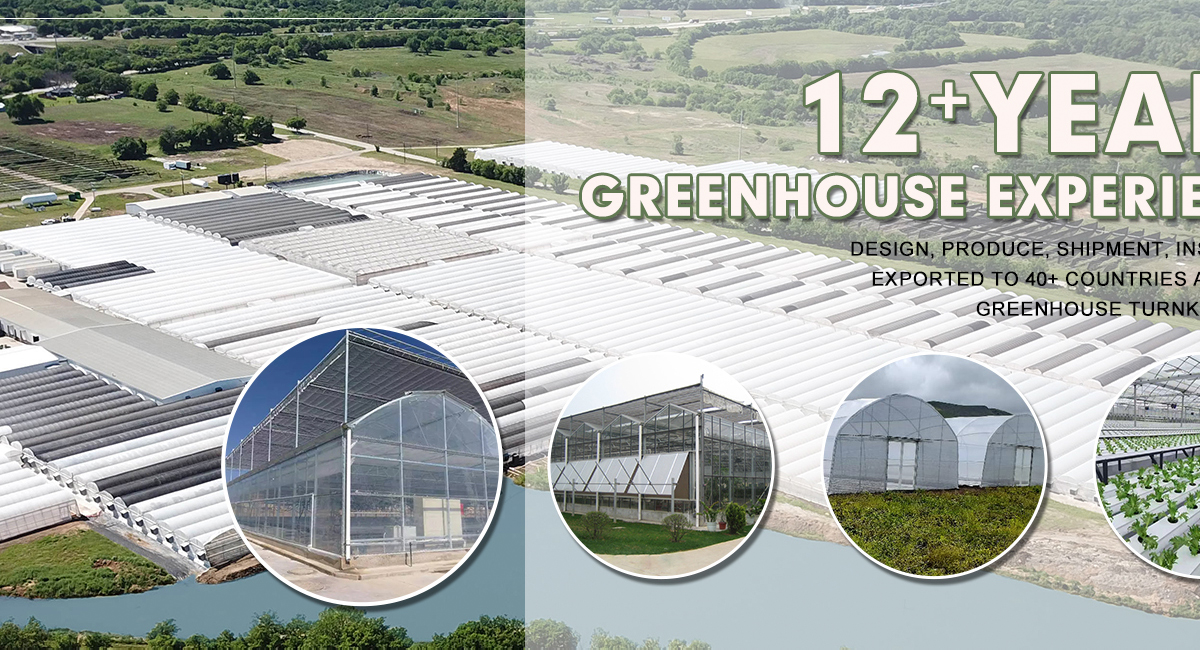 Multi span Film greenhouse