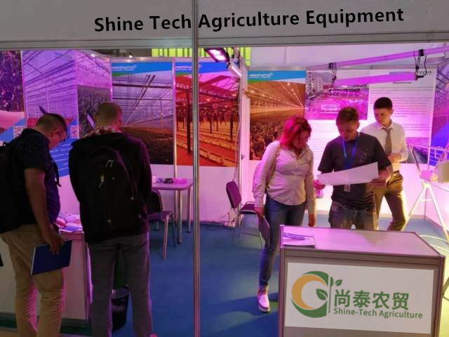 Shanghai Horticultural Exhibition