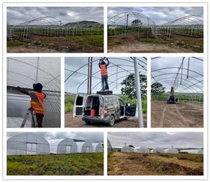 4800SQM Tunnel film greenhouse in South Africa