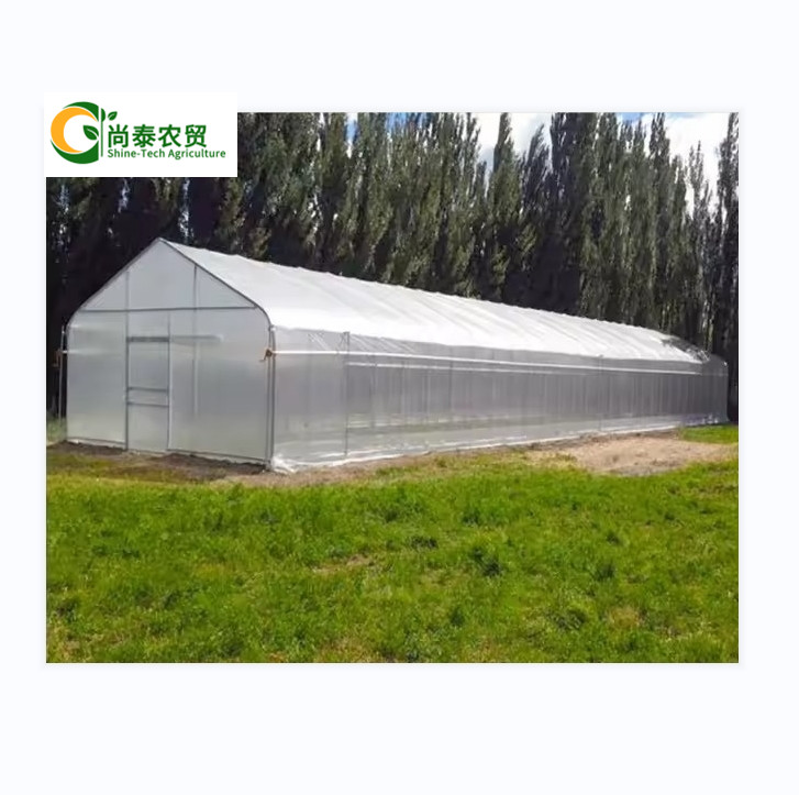 Small Film Tunnel Greenhouse