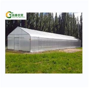 Small Film Tunnel Greenhouse