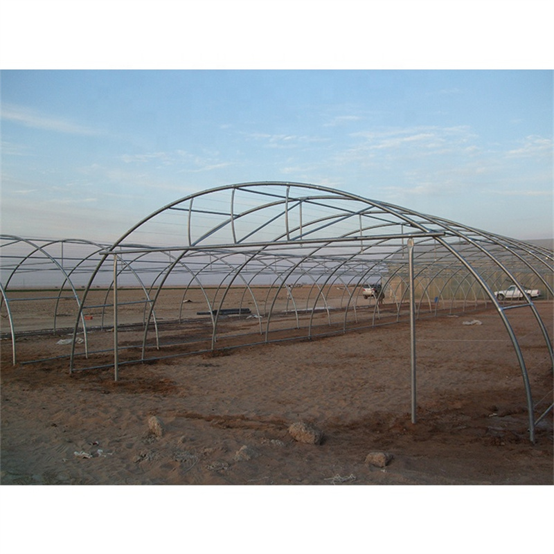 small sturdy greenhouse