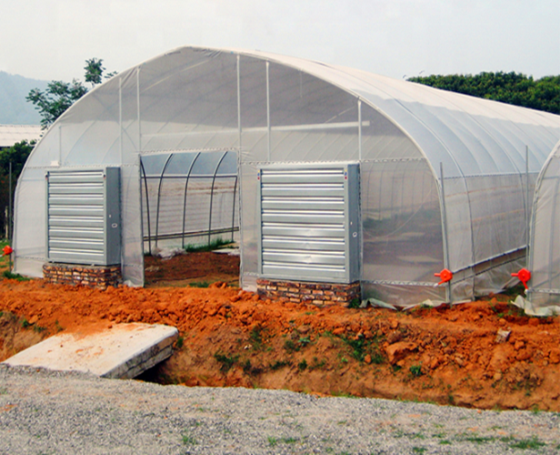 small sturdy greenhouse
