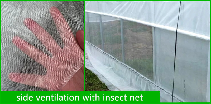 Film tunnel greenhouse