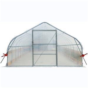 Single Span Plastic Film Tunnel Greenhouse