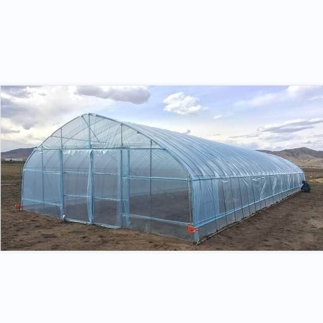 Simple Tunnel Shape Green House