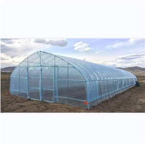 Simple Tunnel Shape Green House