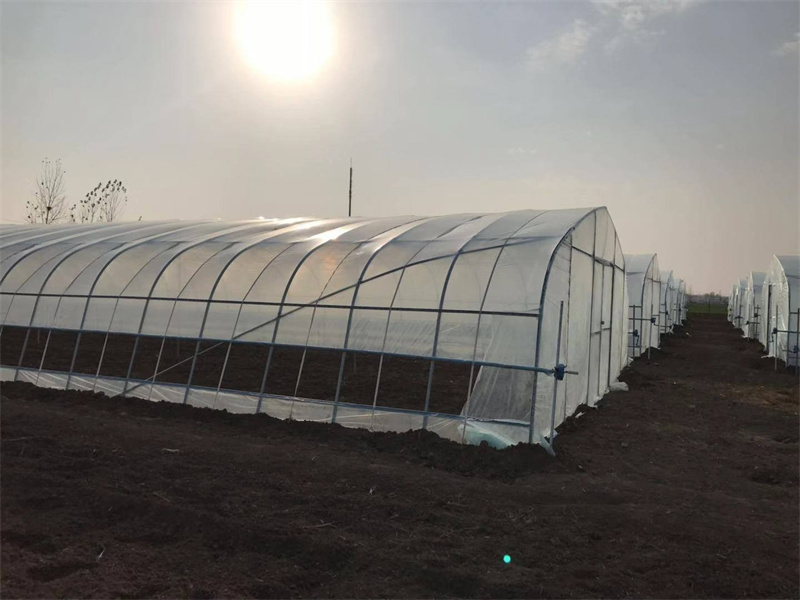 Simple Tunnel Shape Green House