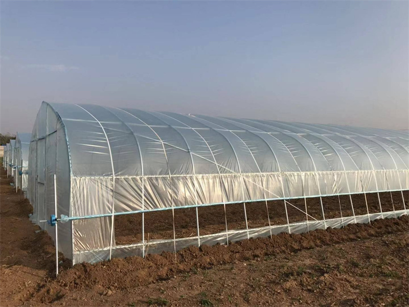 Simple Tunnel Shape Green House